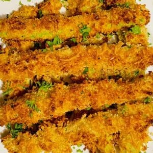 Panko-Parmesan-Crusted-Baked-Zucchini-Fries-on-white-plate