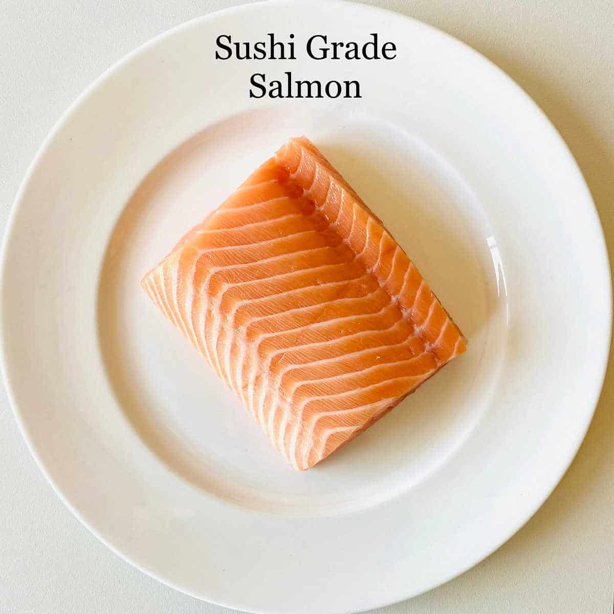 labeled picture of salmon filet on plate