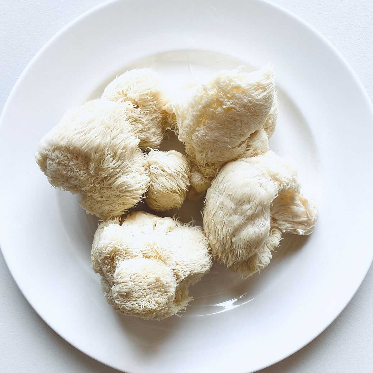 lions mane mushroom on white plate