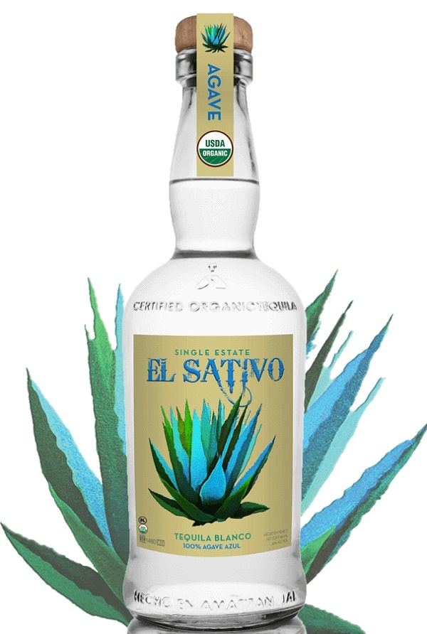 el sativo tequila and agave plant in background
